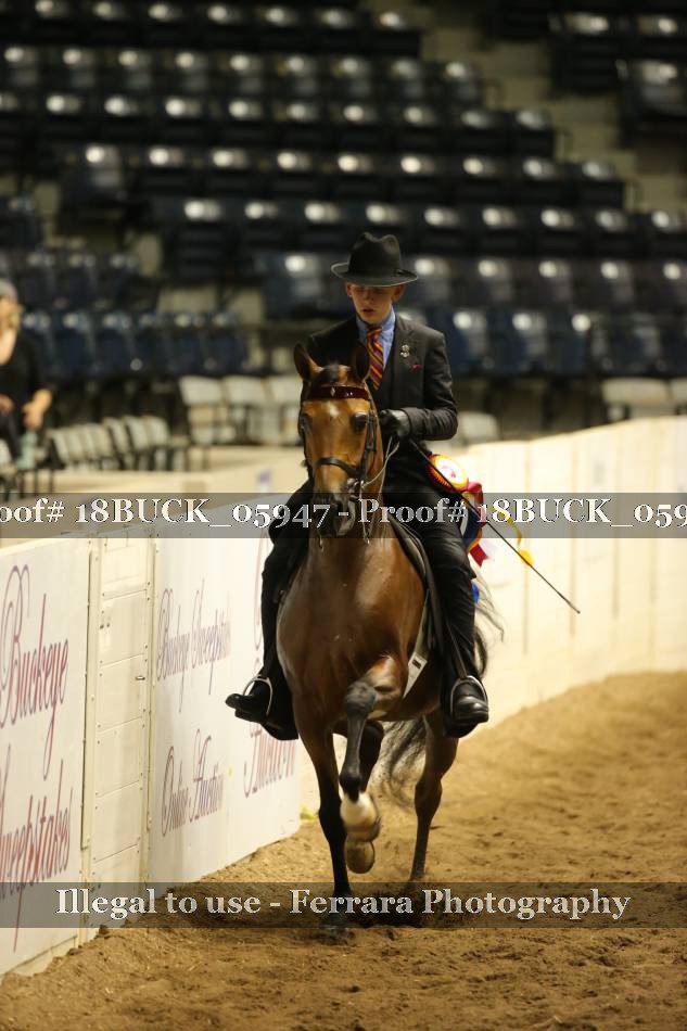 Proof 18BUCK_05947