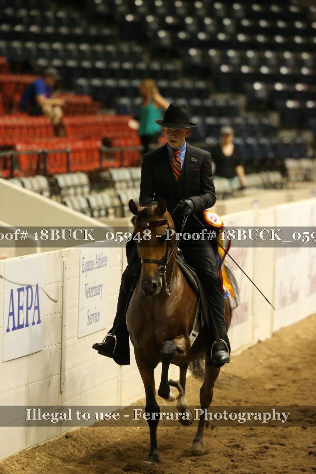 Proof 18BUCK_05948