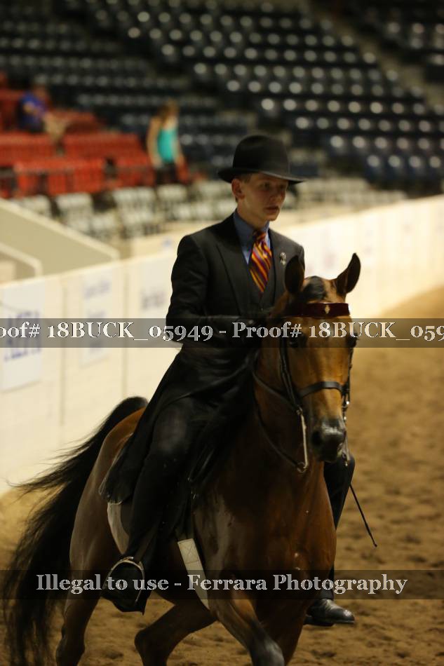 Proof 18BUCK_05949