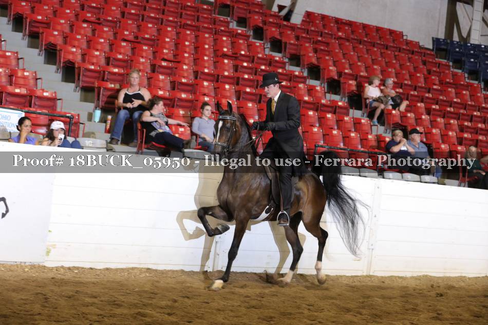 Proof 18BUCK_05950