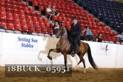 18BUCK_05951 proof