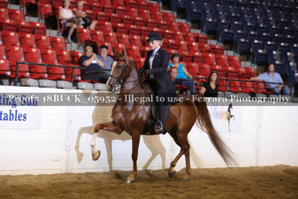 Proof 18BUCK_05952