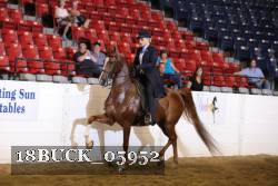 18BUCK_05952 proof