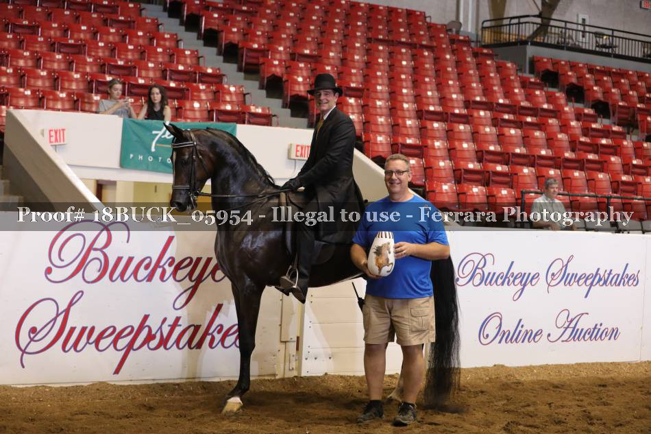Proof 18BUCK_05954
