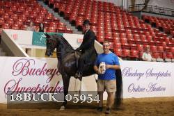 18BUCK_05954 proof