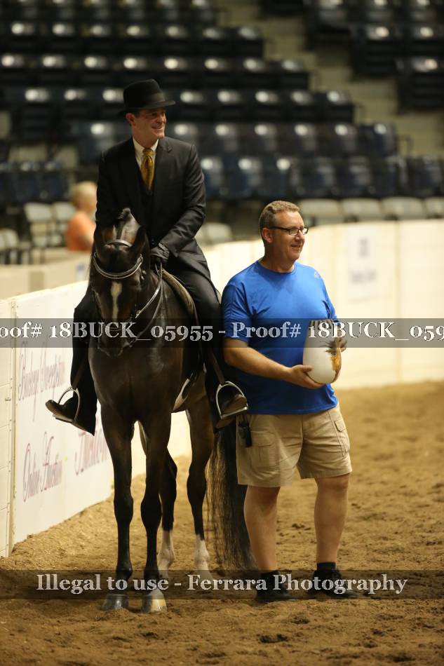 Proof 18BUCK_05955