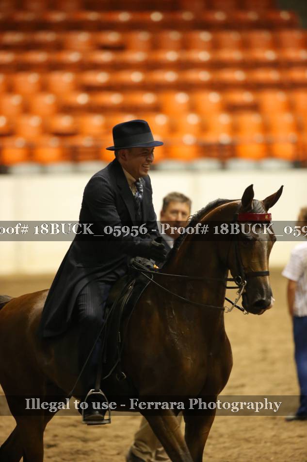 Proof 18BUCK_05956