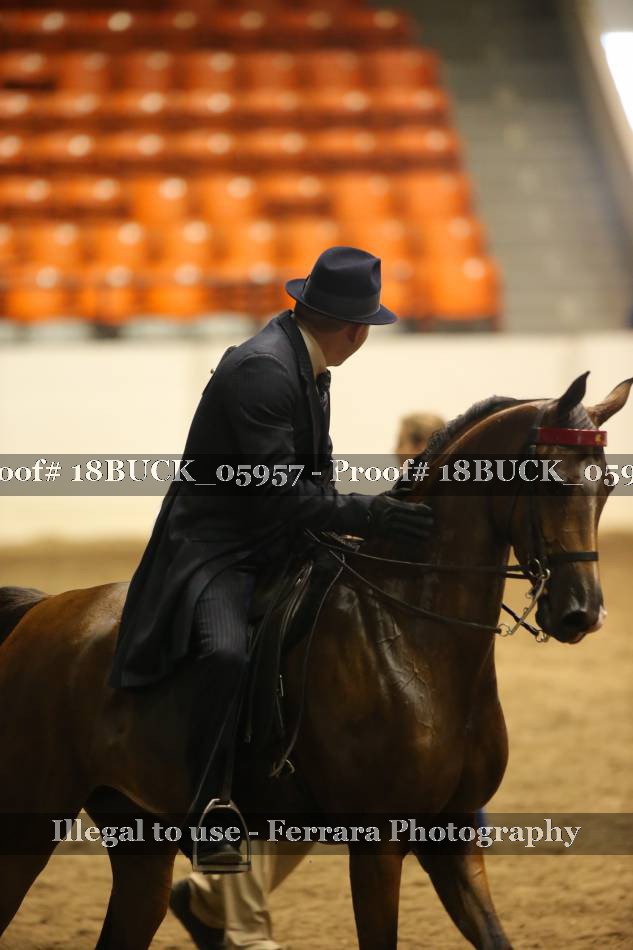 Proof 18BUCK_05957