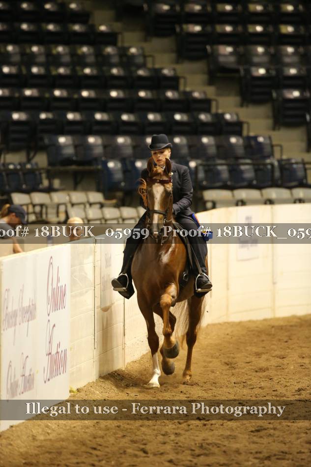 Proof 18BUCK_05959