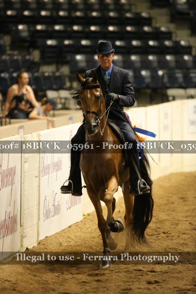 Proof 18BUCK_05961