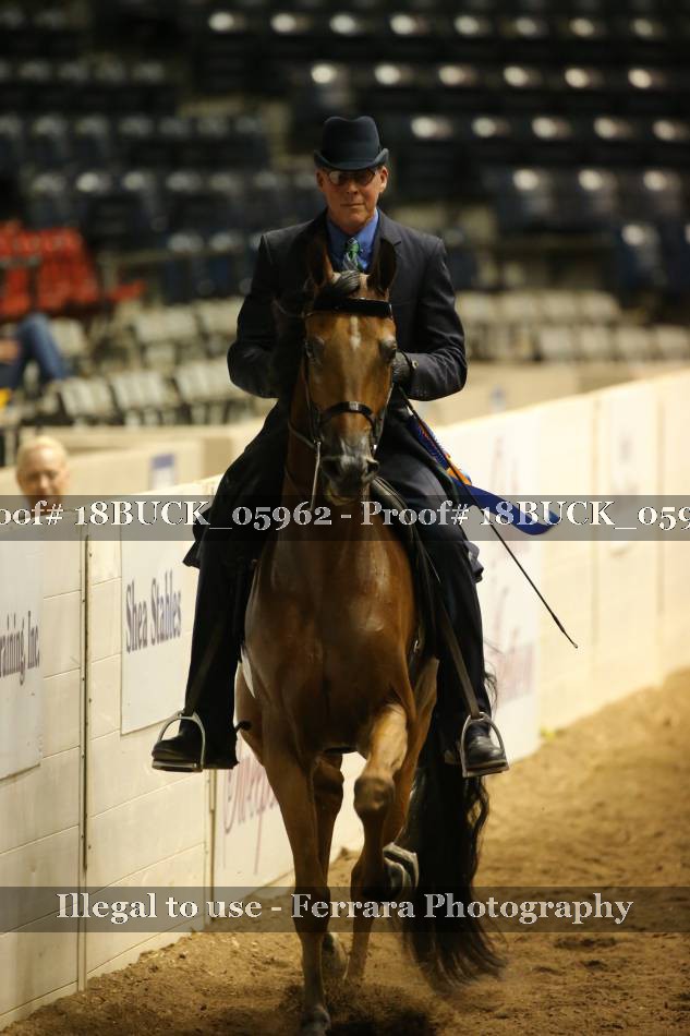 Proof 18BUCK_05962
