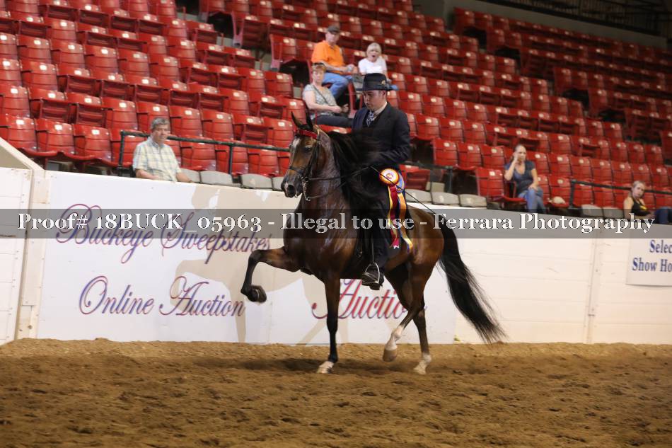 Proof 18BUCK_05963