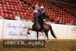 18BUCK_05963 proof