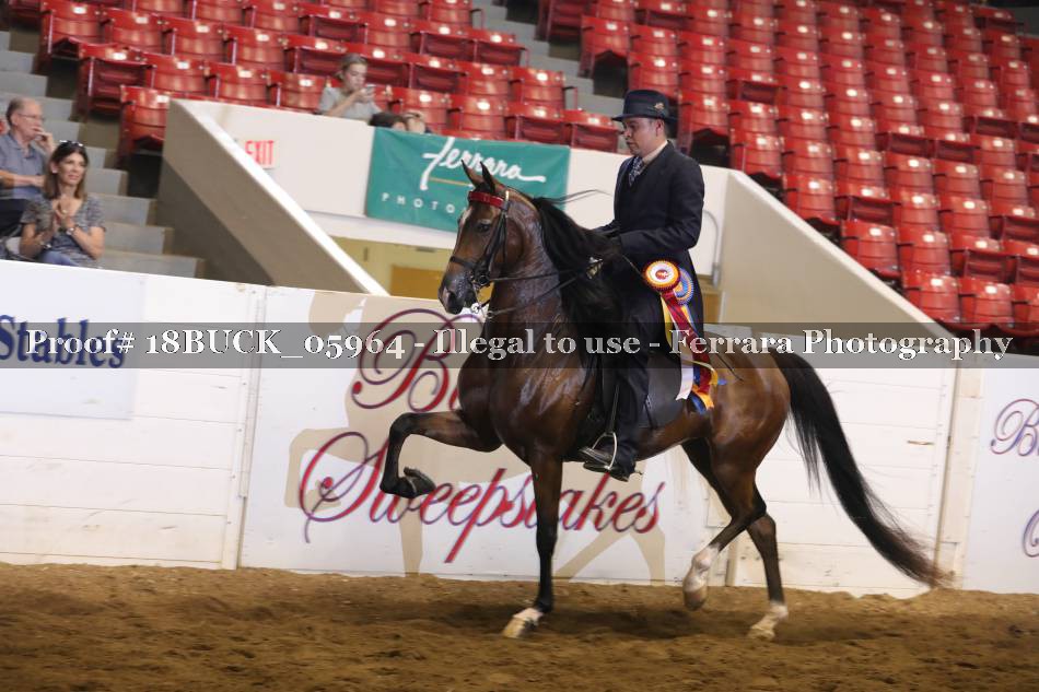Proof 18BUCK_05964