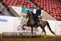 18BUCK_05964 proof