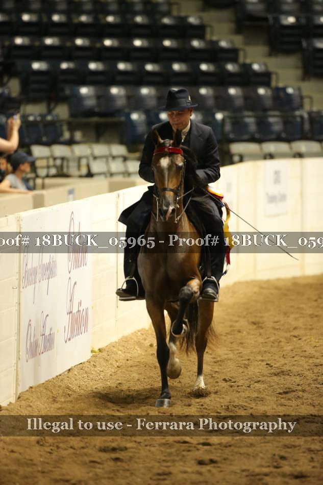 Proof 18BUCK_05965