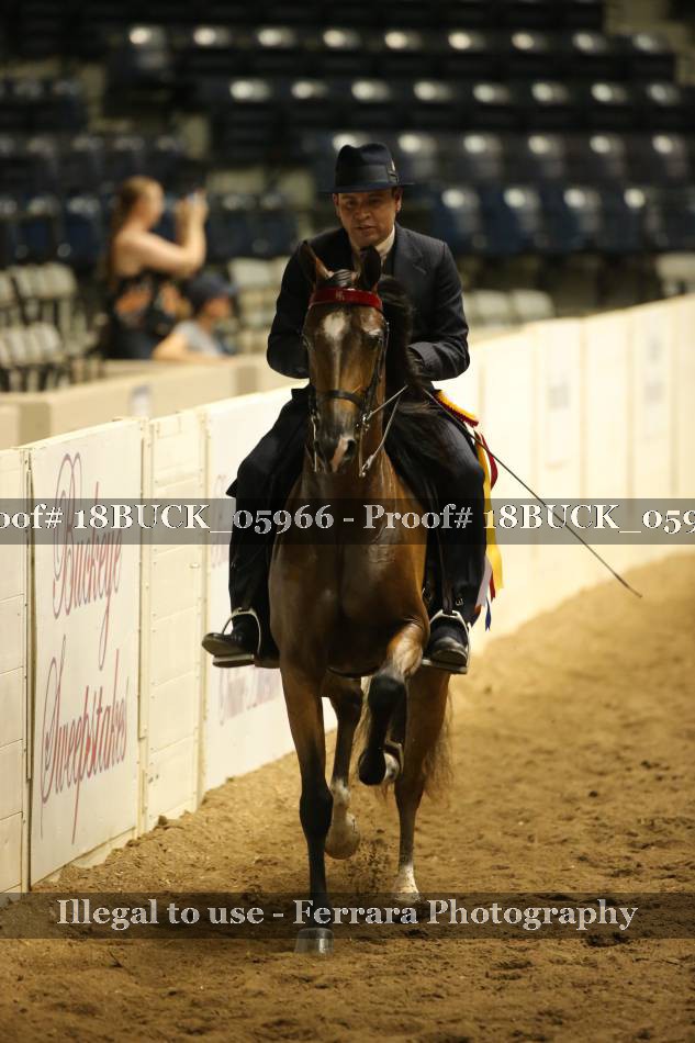 Proof 18BUCK_05966