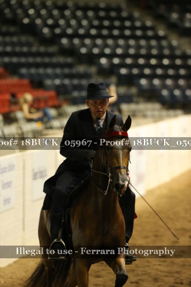 Proof 18BUCK_05967