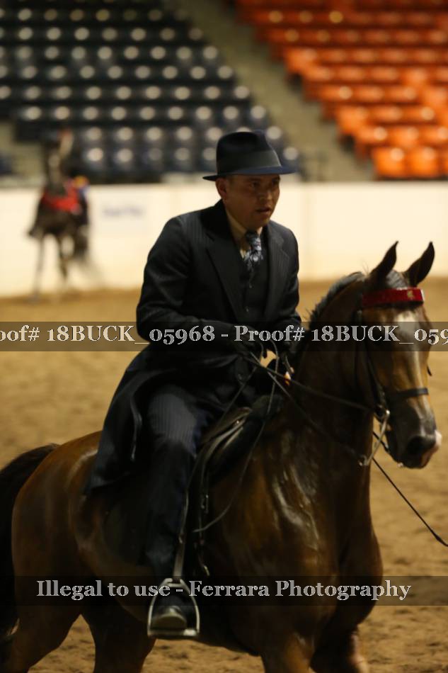 Proof 18BUCK_05968