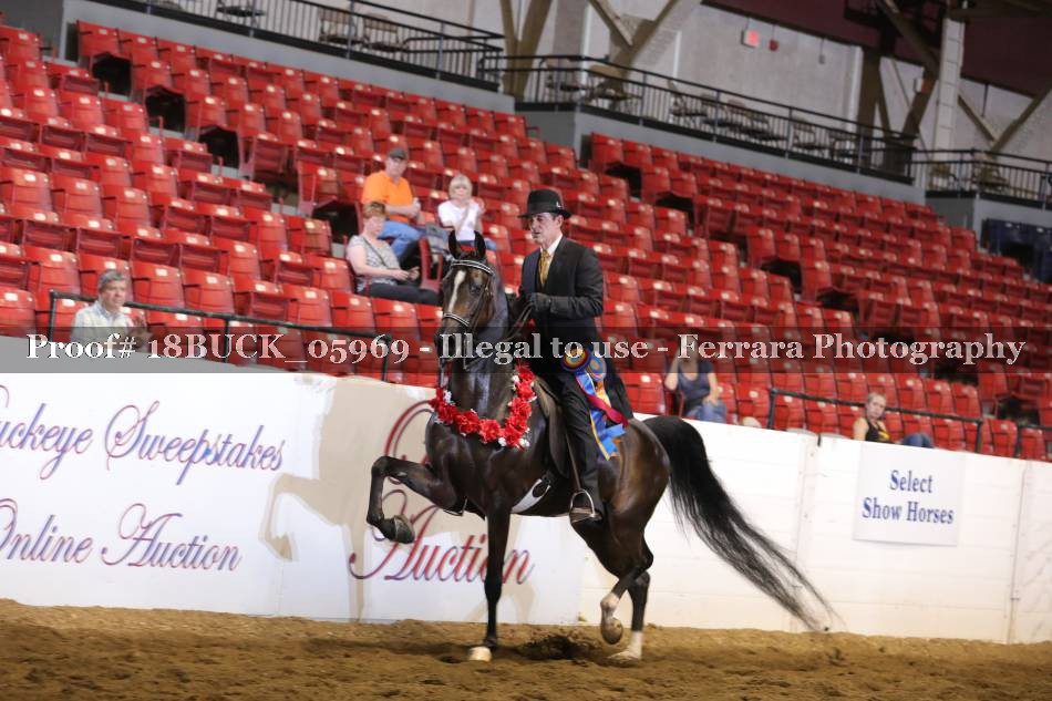 Proof 18BUCK_05969