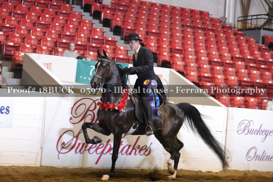 Proof 18BUCK_05970