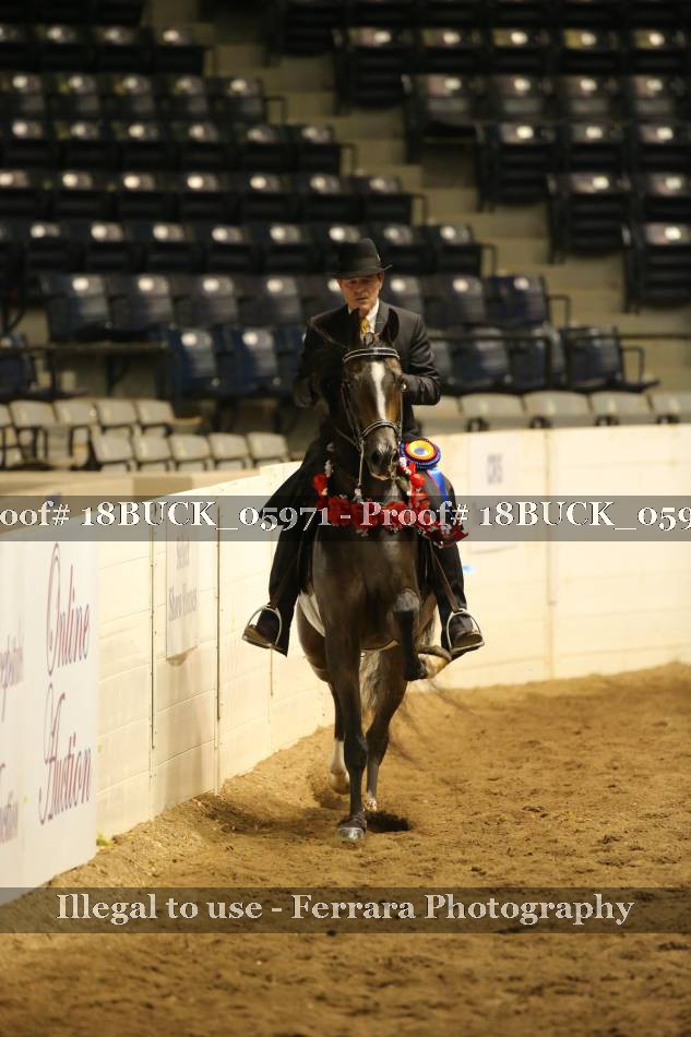 Proof 18BUCK_05971
