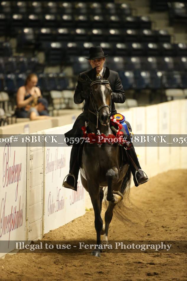 Proof 18BUCK_05972
