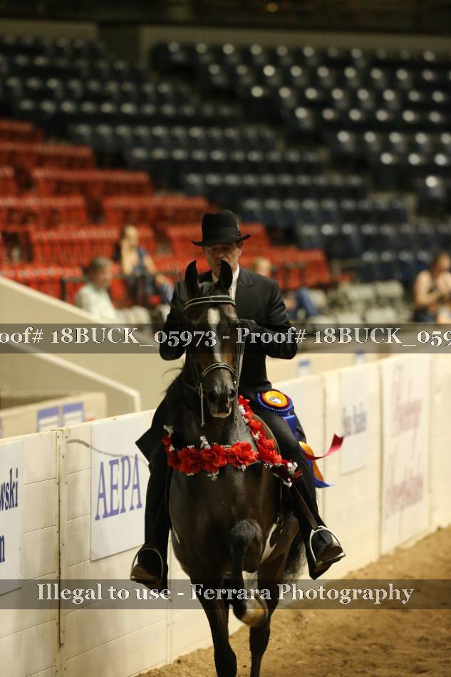 Proof 18BUCK_05973