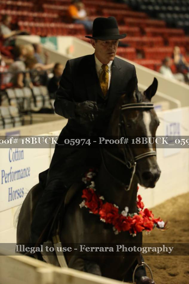 Proof 18BUCK_05974