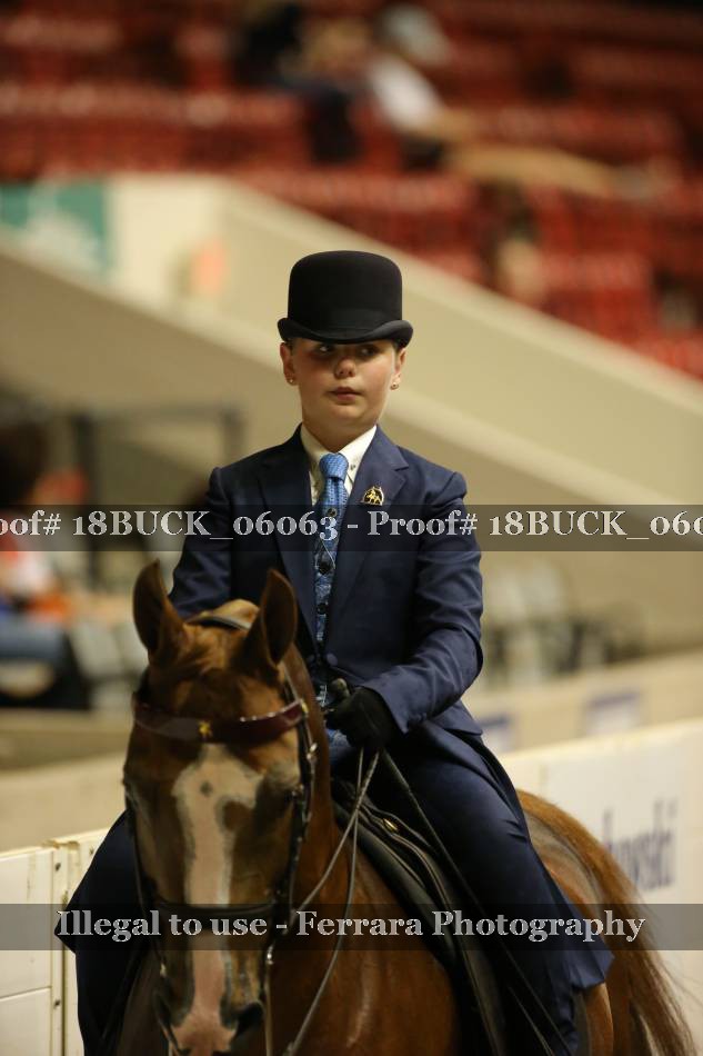 Proof 18BUCK_06063