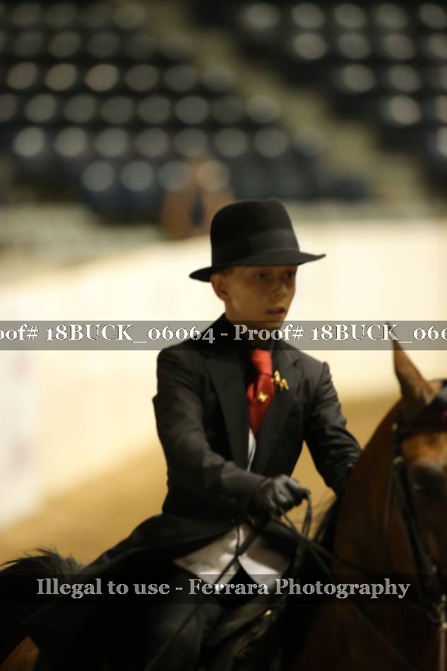 Proof 18BUCK_06064