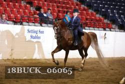 18BUCK_06065 proof