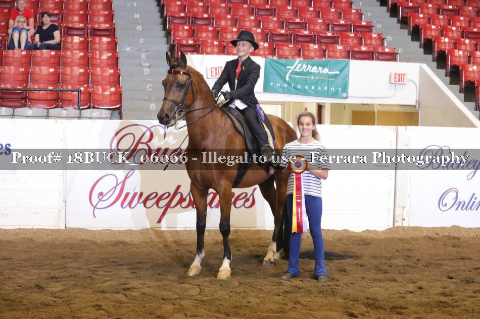 Proof 18BUCK_06066