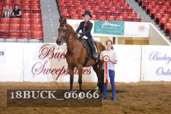 18BUCK_06066 proof