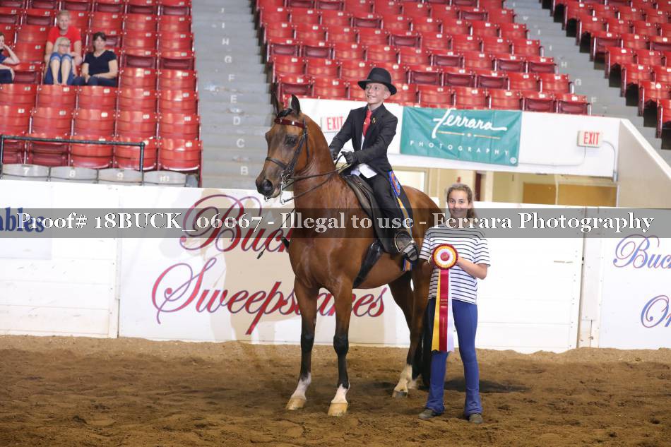 Proof 18BUCK_06067
