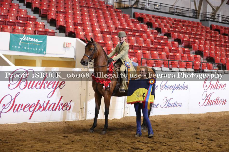 Proof 18BUCK_06068