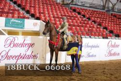 18BUCK_06068 proof