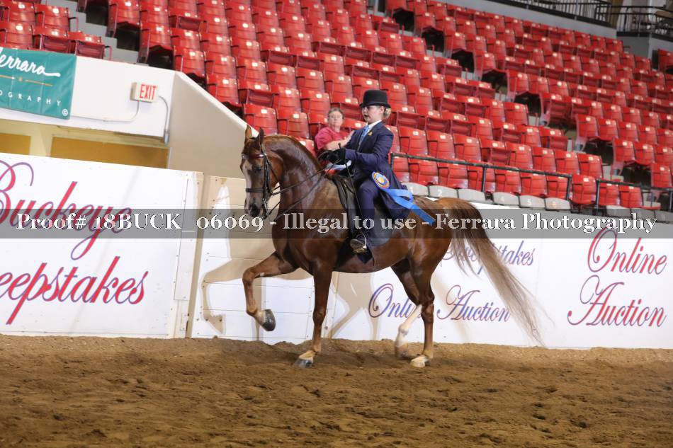 Proof 18BUCK_06069