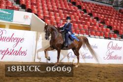 18BUCK_06069 proof