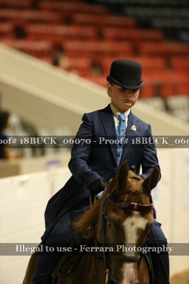 Proof 18BUCK_06070