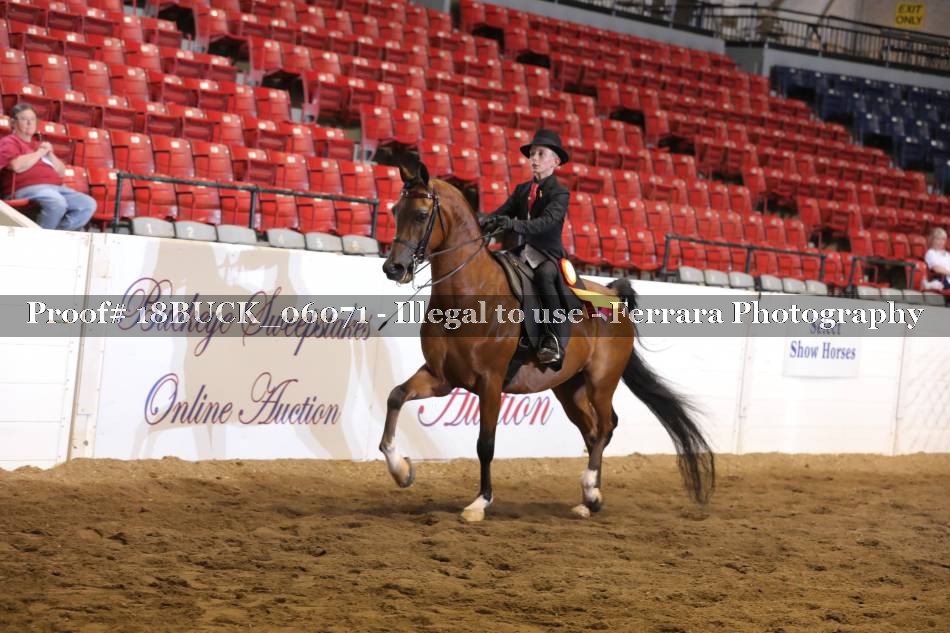 Proof 18BUCK_06071