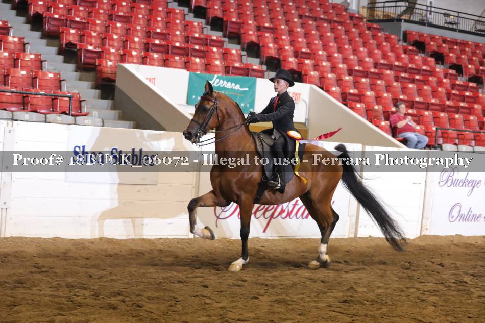 Proof 18BUCK_06072