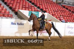 18BUCK_06072 proof