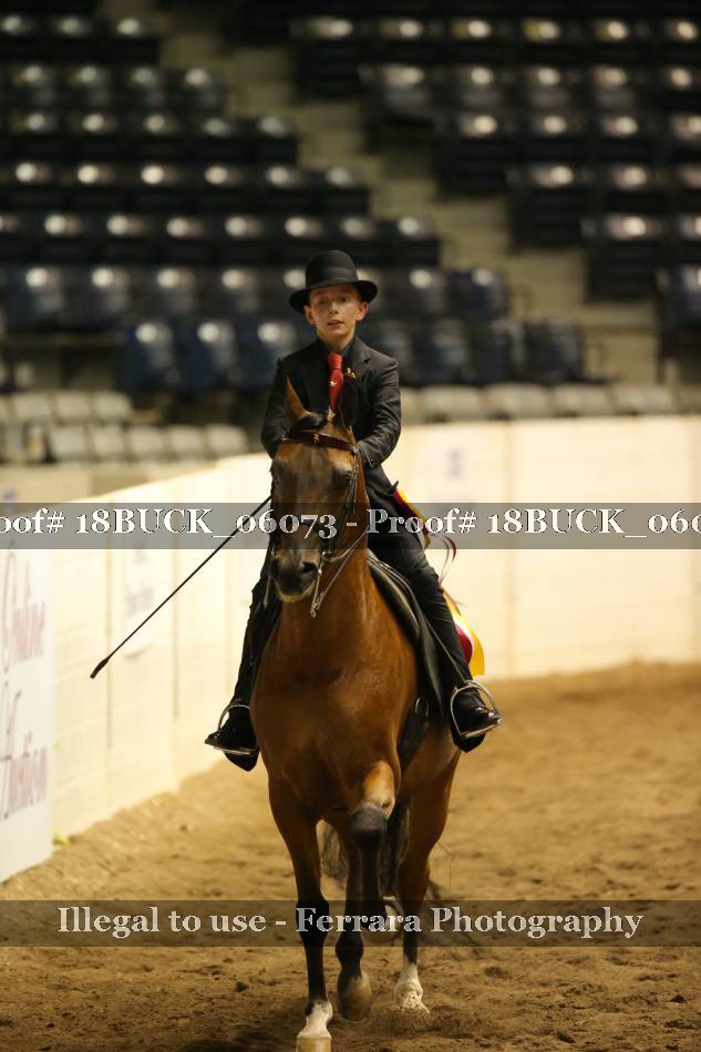 Proof 18BUCK_06073