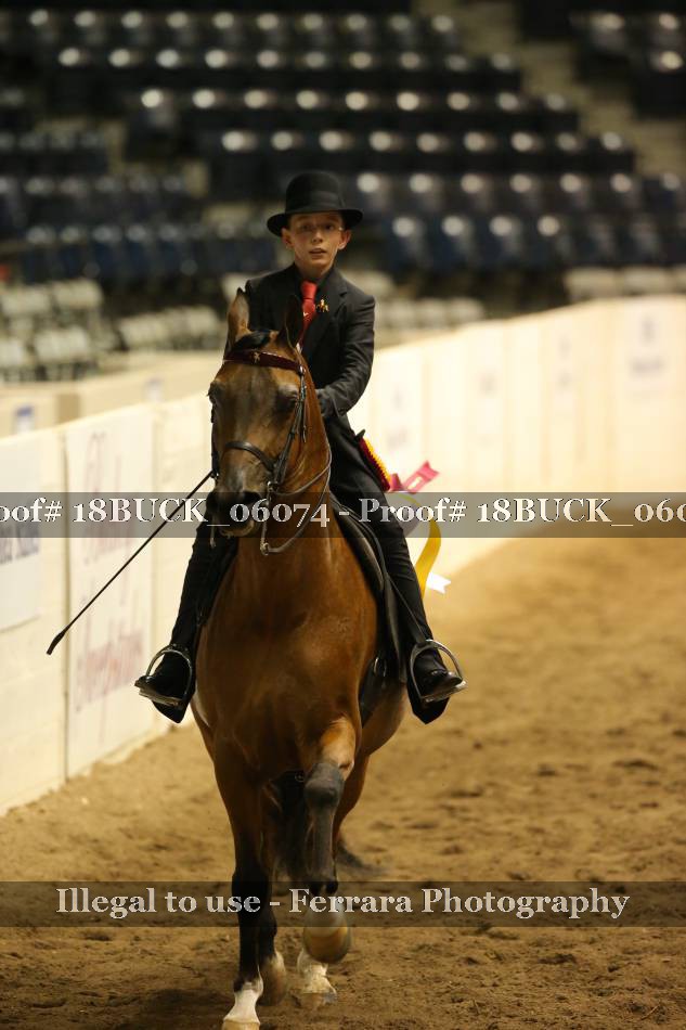 Proof 18BUCK_06074