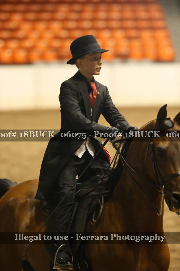 Proof 18BUCK_06075