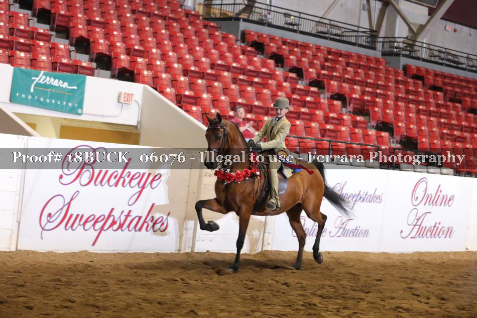 Proof 18BUCK_06076