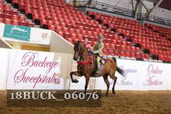 18BUCK_06076 proof