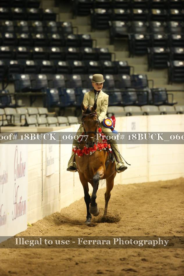 Proof 18BUCK_06077