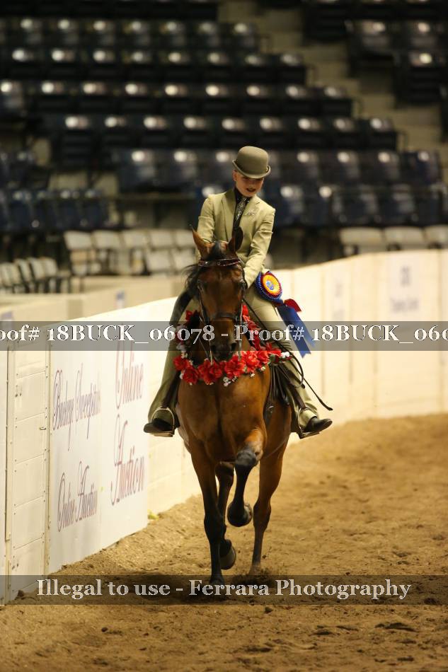 Proof 18BUCK_06078